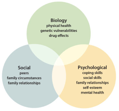 George Engle’s Biopsychosocial Model of Care