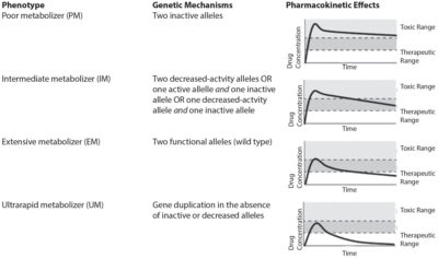 Pharmacogenetics in Primary Care
